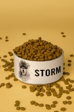 Custom Pet Bowl