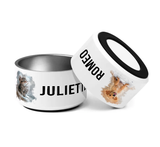 Custom Pet Bowl